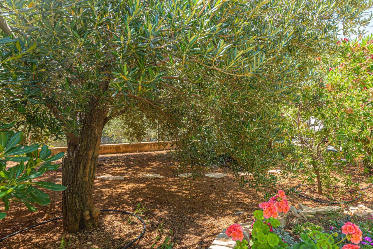 Apartments Villa Tribunj Tribalj Εξωτερικό φωτογραφία